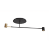 Melanocetus PL